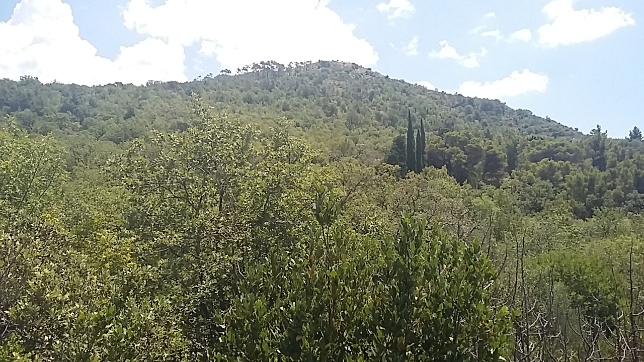 20180707_125114