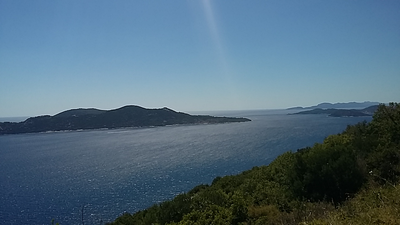 20180707_143740(0)