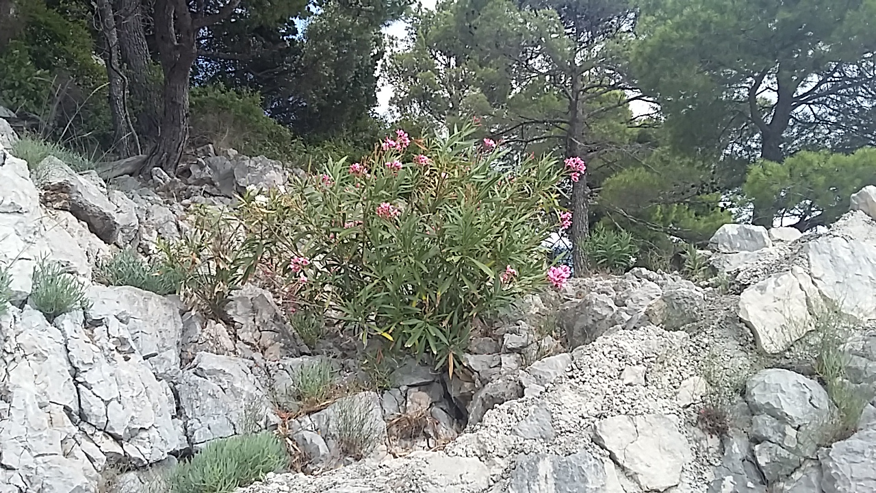 20180709_140531