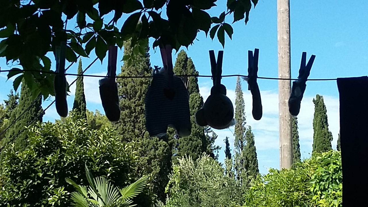 20180710_095138
