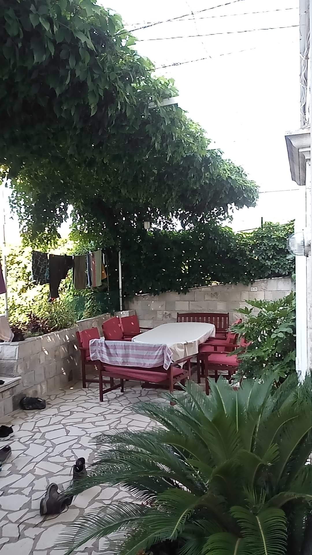 received_1732662560181085