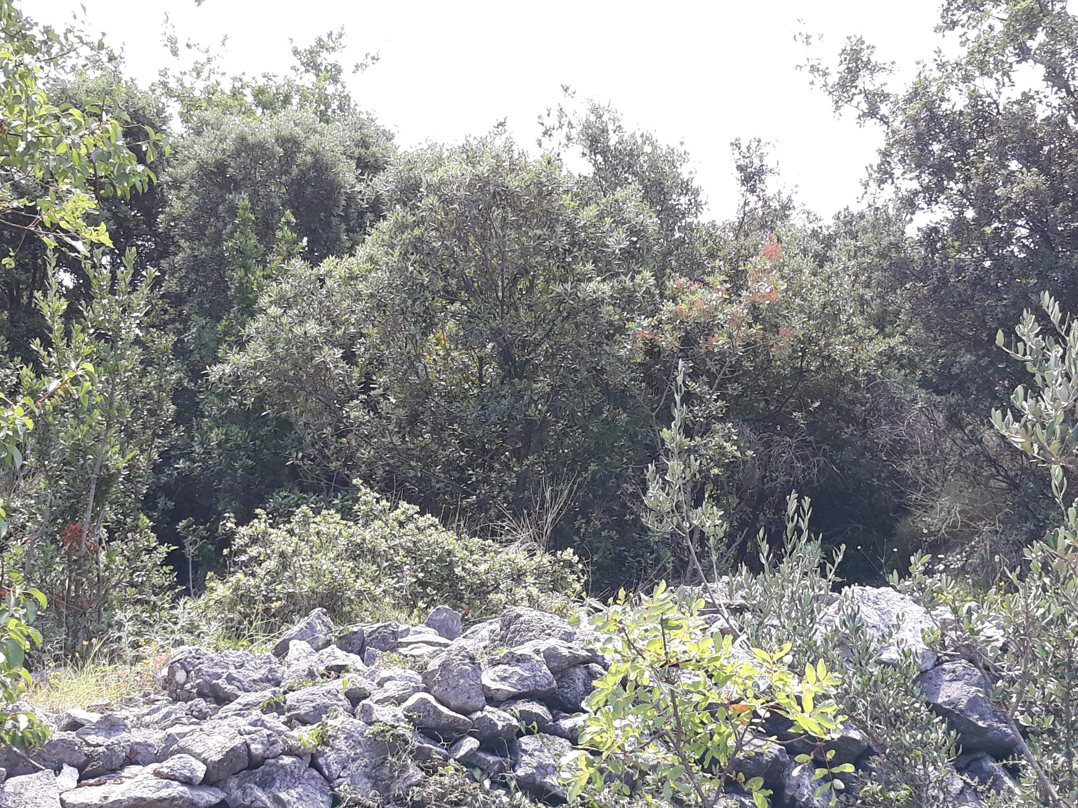 received_2096636097328976