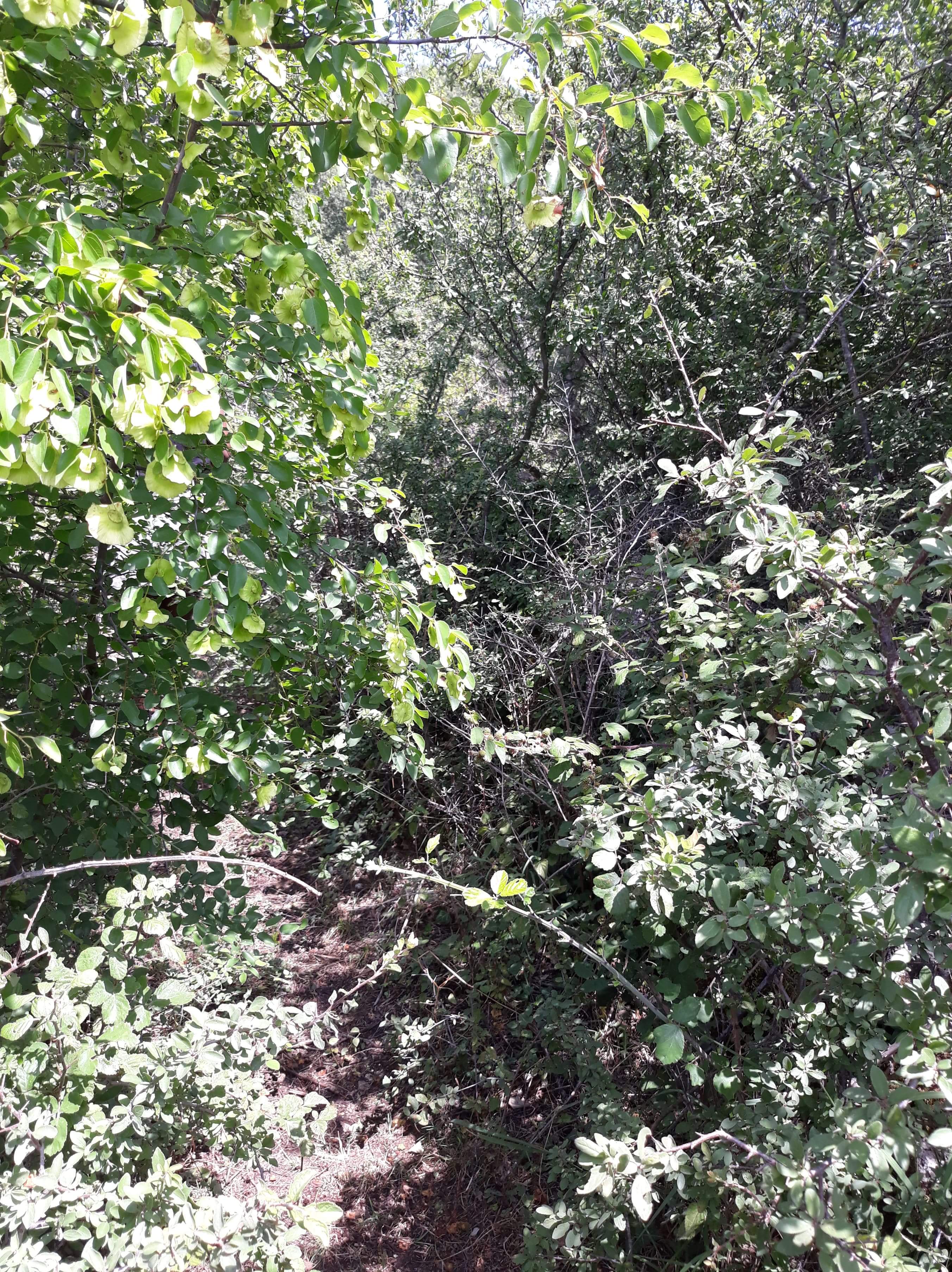 received_2096816407310945