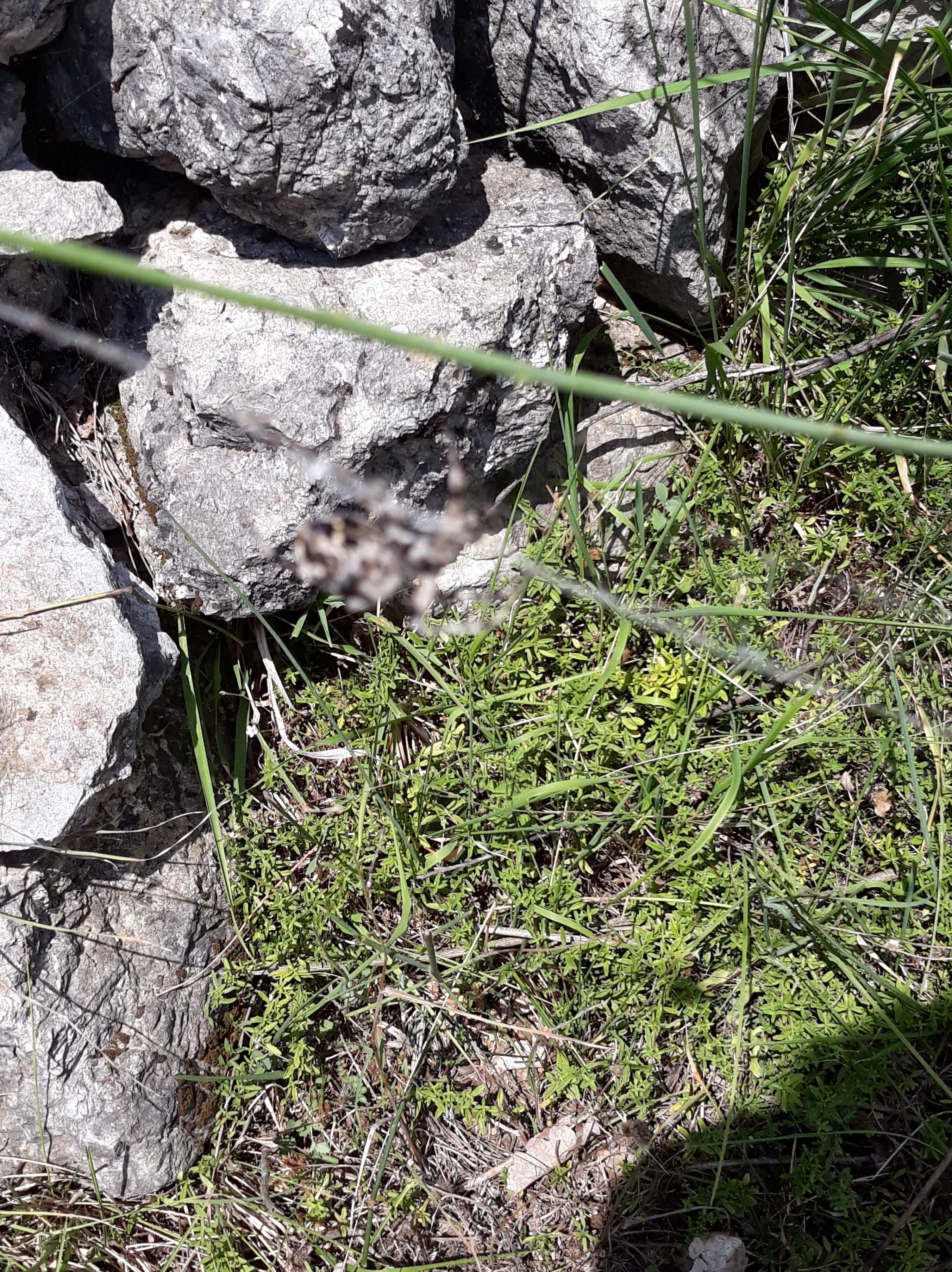 received_2096819677310618