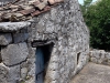 received_2095537107438875