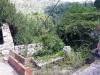 received_2095537170772202