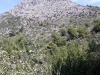 received_2096634987329087