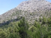 received_2096635133995739