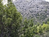 received_2096635720662347