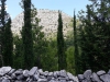 received_2096635987328987