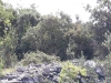 received_2096636097328976