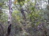 received_2096636490662270