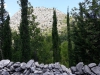 received_2096636513995601