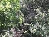 received_2096816407310945