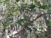 received_2096817570644162