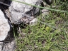 received_2096819677310618