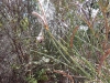 received_2096820073977245