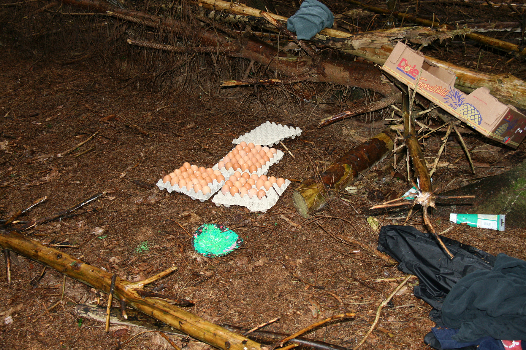Kamp Sippenaeken 2016 - Dag 2_94.JPG