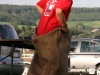 Kamp Sippenaeken_205.JPG