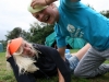 Kamp Sippenaeken_55.JPG