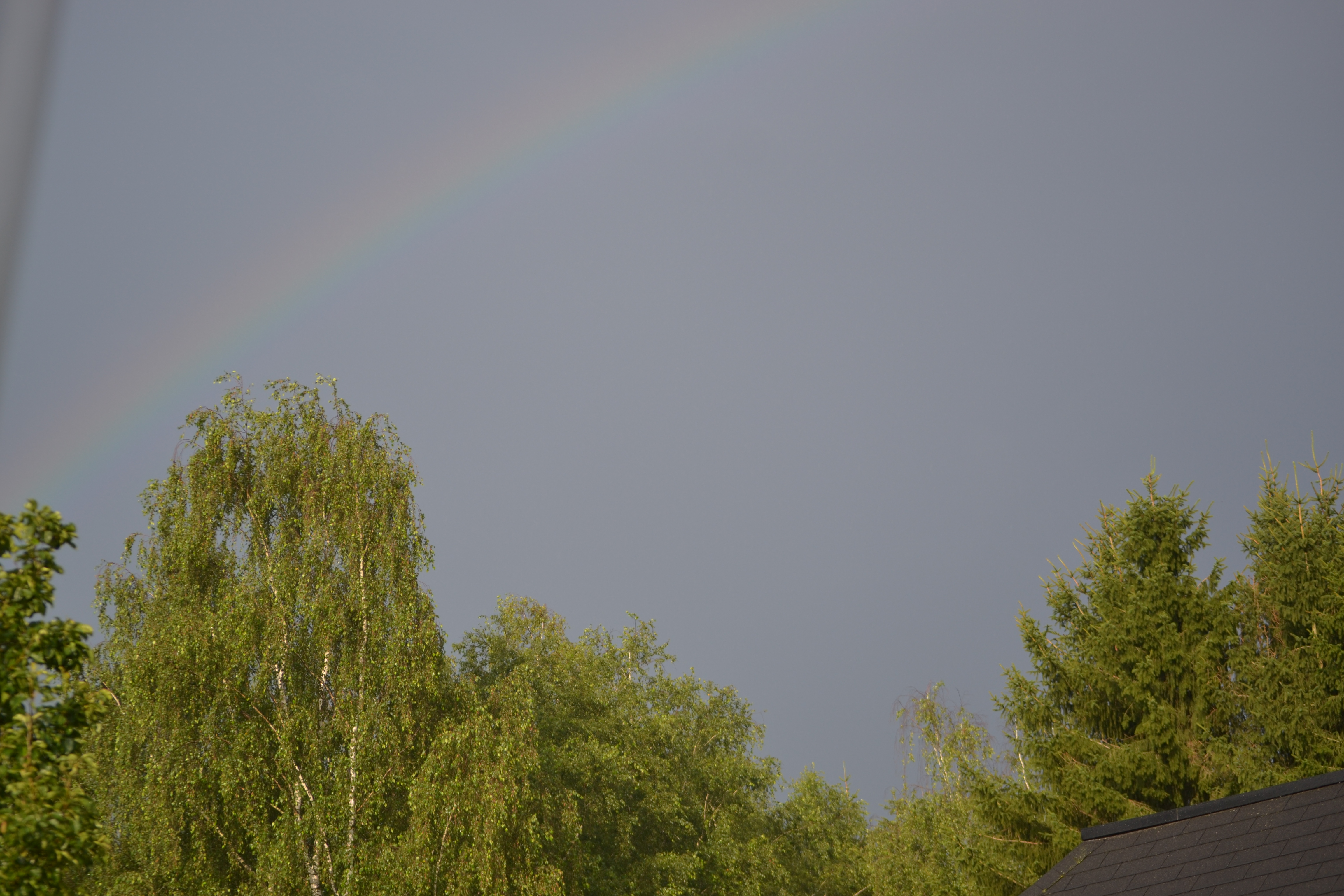 DSC_0840