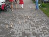 IMG_20210726_204121