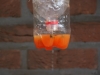 Kamp Hamont-Achel 2011_deel1_1.jpg