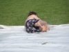 Kamp Hamont-Achel 2011_deel1_77.jpg