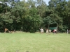 Kamp Hamont-Achel 2011_deel6_115.jpg