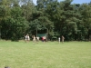 Kamp Hamont-Achel 2011_deel6_116.jpg