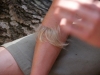 Kamp Hamont-Achel 2011_deel6_150.jpg
