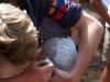 Kamp Hamont-Achel 2011_deel6_194.jpg