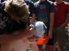 Kamp Hamont-Achel 2011_deel6_195.jpg