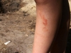 Kamp Hamont-Achel 2011_deel6_196.jpg