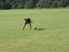 Kamp Hamont-Achel 2011_deel6_25.jpg