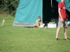 Kamp Hamont-Achel 2011_deel6_40.jpg
