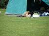 Kamp Hamont-Achel 2011_deel6_41.jpg