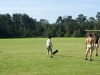 Kamp Hamont-Achel 2011_deel6_57.jpg