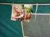 Kamp Hamont-Achel 2011_deel6_96.jpg