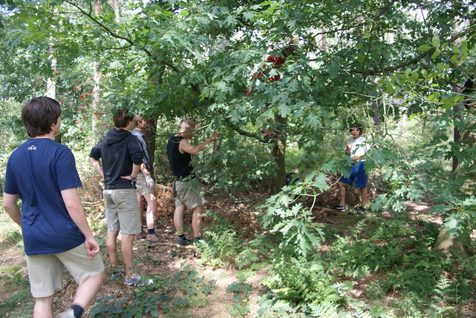 Kamp Hamont-Achel 2011_deel9_87.jpg