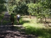 Kamp Hamont-Achel 2011_deel9_104.jpg