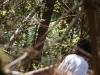 Kamp Hamont-Achel 2011_deel9_118.jpg