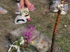 IMG_8896.JPG