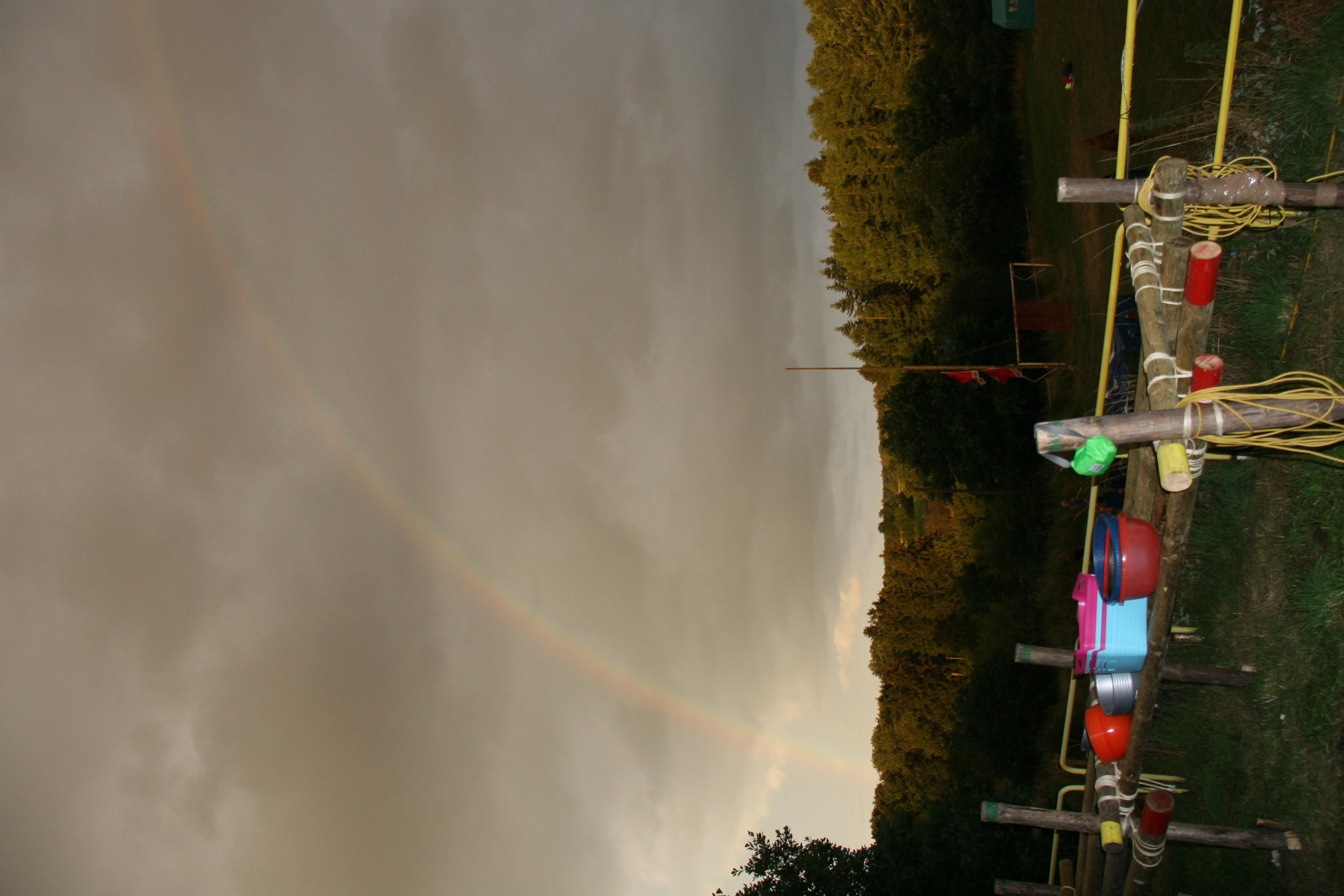 IMG_7982.JPG
