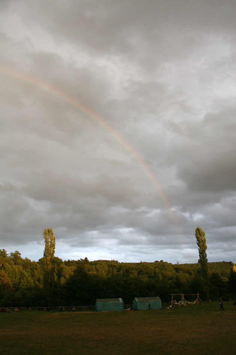 IMG_7986.JPG