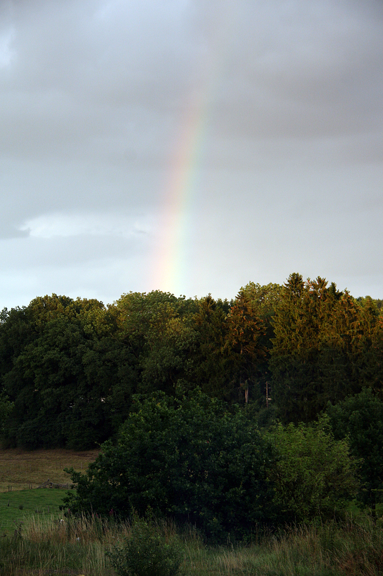IMG_7998.JPG