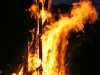 IMG_8472.JPG