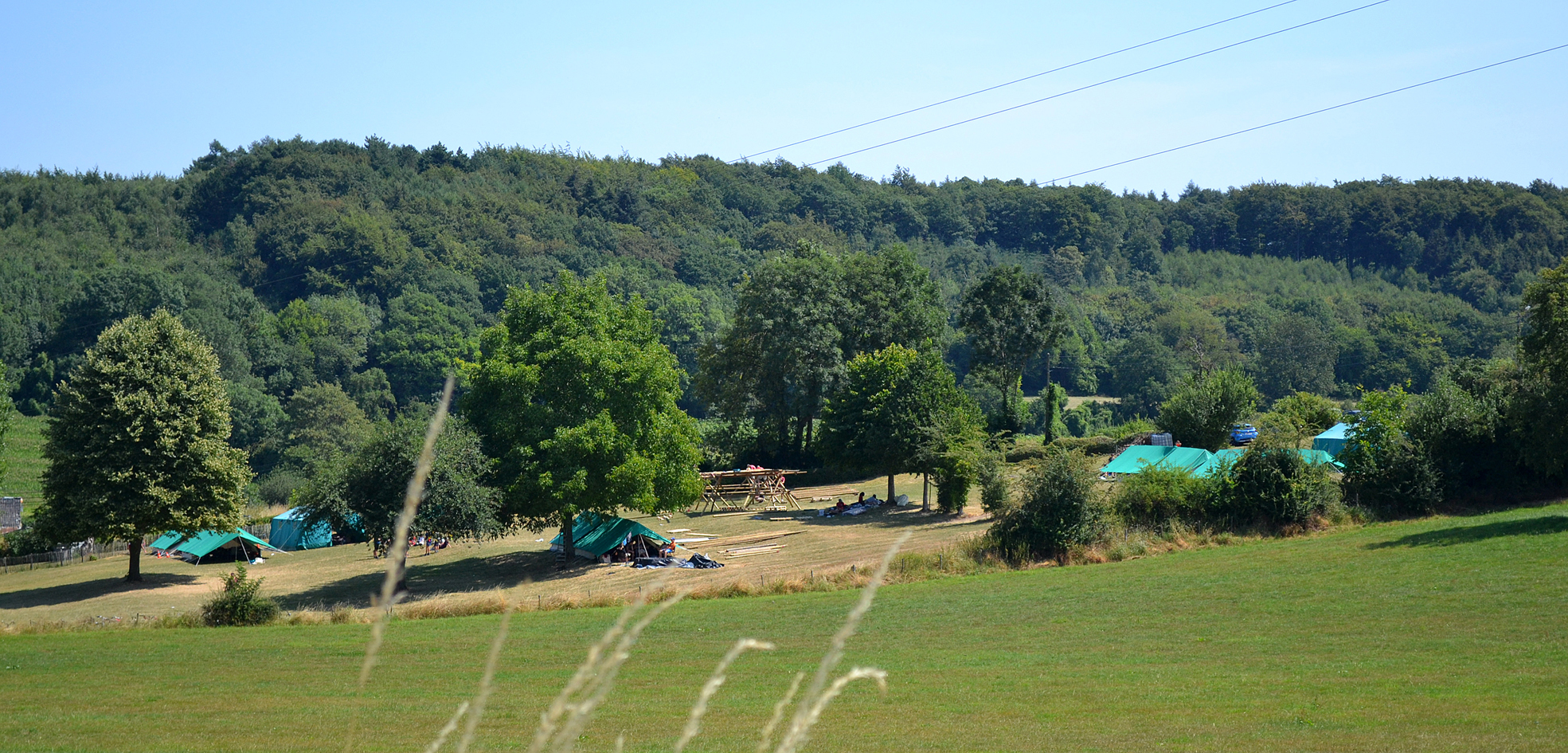 DSC_0486
