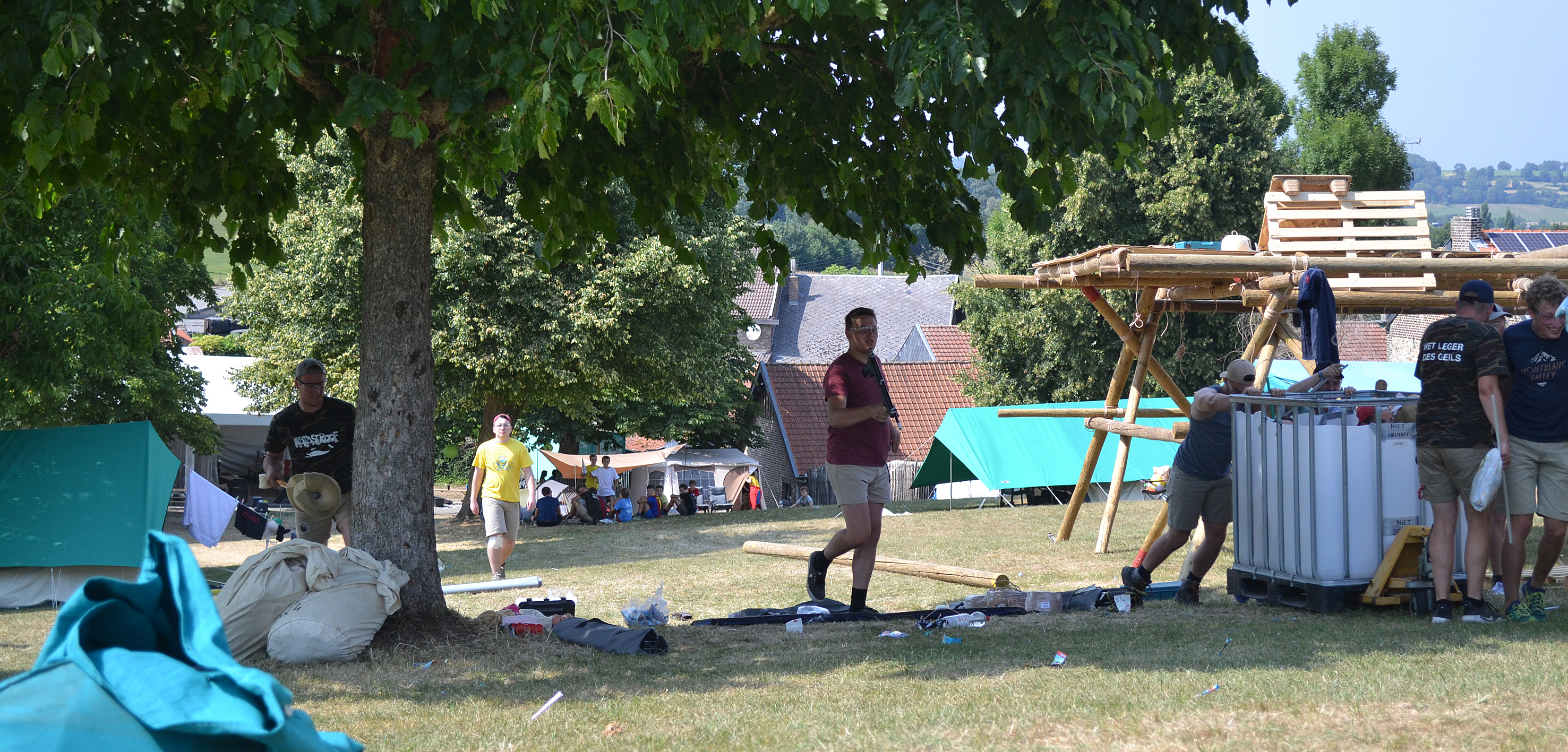 DSC_0546