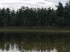 IMG_20200724_144726